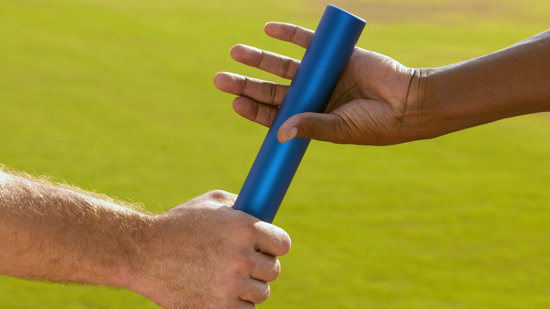 男子水球荷兰队战术配合成熟，荷兰男子组合